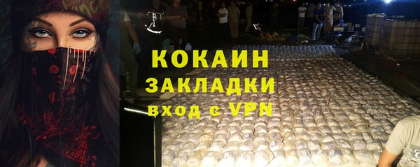 гидра Майский