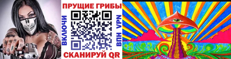 как найти наркотики  МЕГА ССЫЛКА  Псилоцибиновые грибы GOLDEN TEACHER  Власиха 